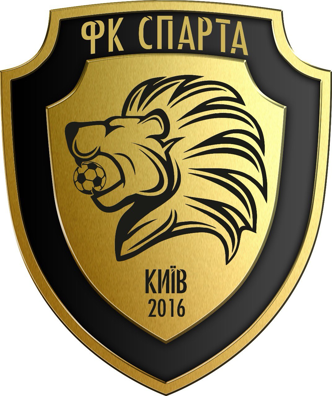 Громадська організація  “Дитячий спортивний клуб “Спарта-Київ”